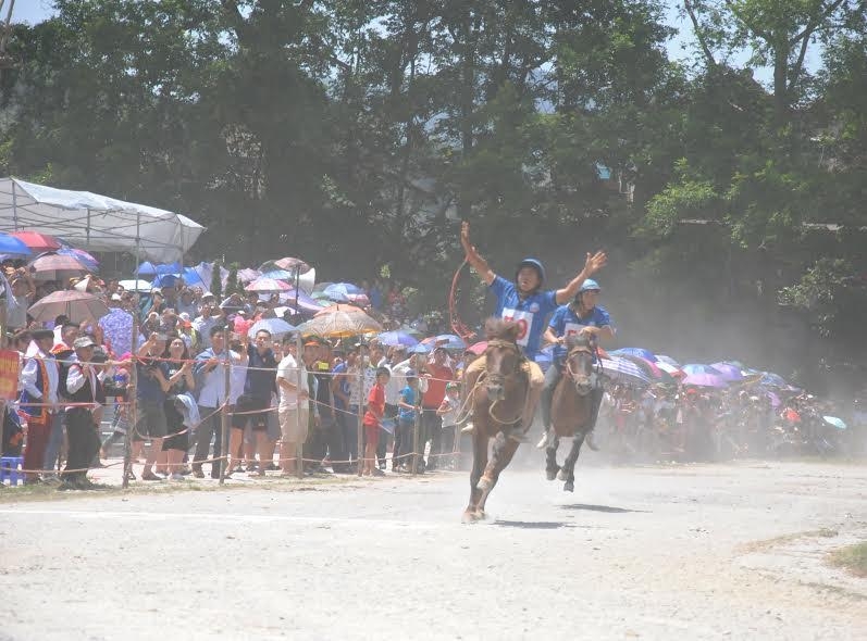 hang nghin nguoi xem dua ngua o bac ha bat chap nang nong 40 do c hinh anh 6