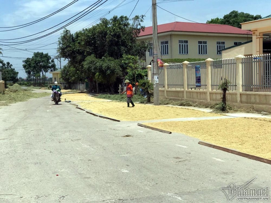 nắng nóng, nóng gay gắt, nóng kỷ lục