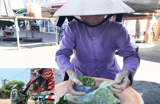 quang ngai: la doi ot rung 300.000 dong/kg, ot nha chi 2.000 d/kg hinh anh 4