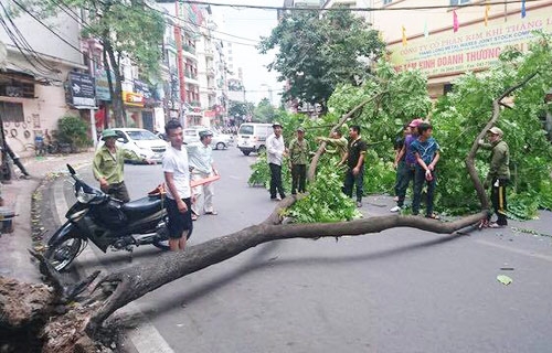 trung-tam-ha-noi-don-mua-vang-giai-nhiet-2
