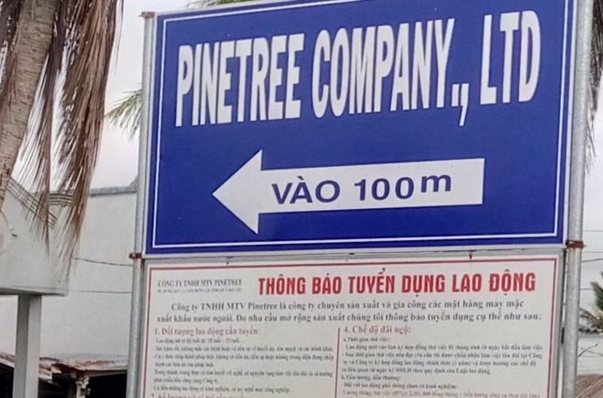 Nhieu cong nhan bo an trua vi phat hien doi trong khay com hinh anh 1