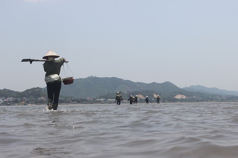 sá sùng, Vân Đồn, Quảng Ninh