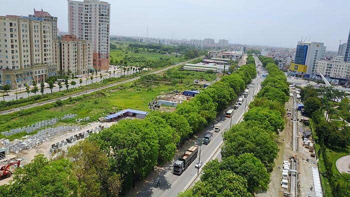 ve 1.300 cay xanh o pham van dong: bat kha khang moi phai chat ha! hinh anh 1