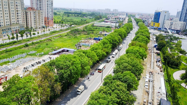 Hà Nội đang lên kế hoạch thay thế hàng xà cừ trên các tuyến đường (Ảnh: Toàn Vũ)