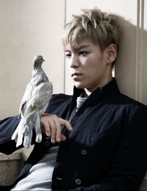 Ca si Viet noi gi ve 7 ngay be boi cua T.O.P (Big Bang)? hinh anh 1