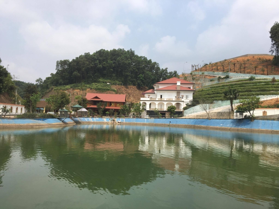yen bai: thanh tra viec chuyen doi sieu toc hon 13.000m2 dat rung hinh anh 1