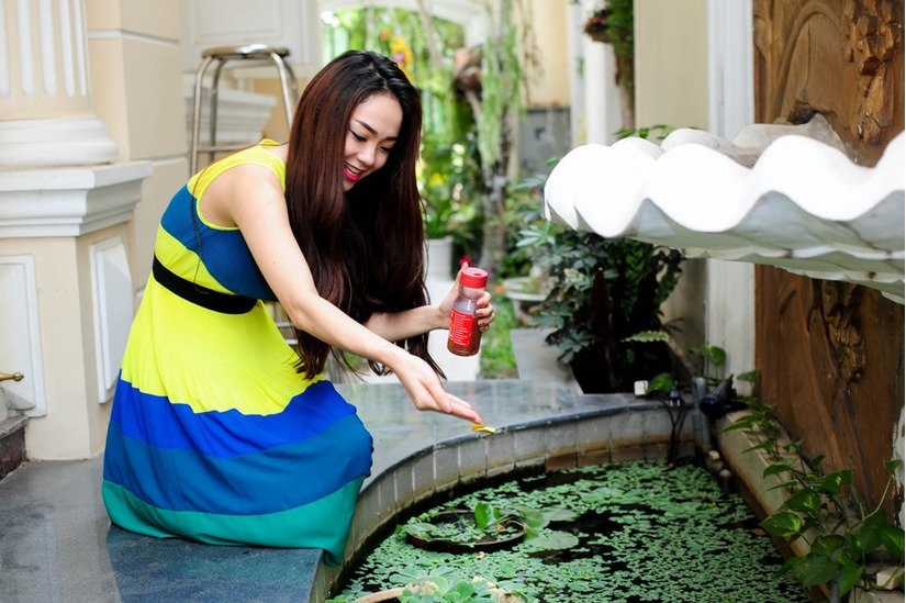 Minh Hằng, ca sĩ Minh Hằng, Sao Việt