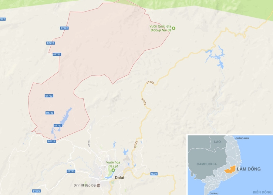 'Tuyet tinh coc' dep nhu mo o Da Lat hinh anh 9