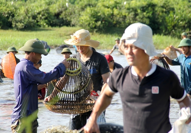 Hang ngan nguoi doi nang di bat ca cau may trong le hoi Dong Hoa