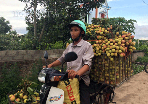 vai luc ngan bat ngo... mat mua, vang bong thuong lai trung quoc hinh anh 1