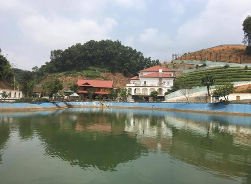 yen bai de nghi bao chi tam dung dua tin vu biet phu gd so tn-mt hinh anh 1