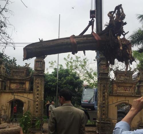 “bau vat” 26 ty nam chong tro trong xo nha dai gia bac ninh hinh anh 1