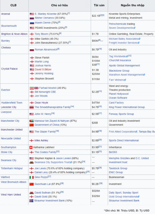 Nguoi Trung Quoc thau tom Newcastle United? hinh anh 2