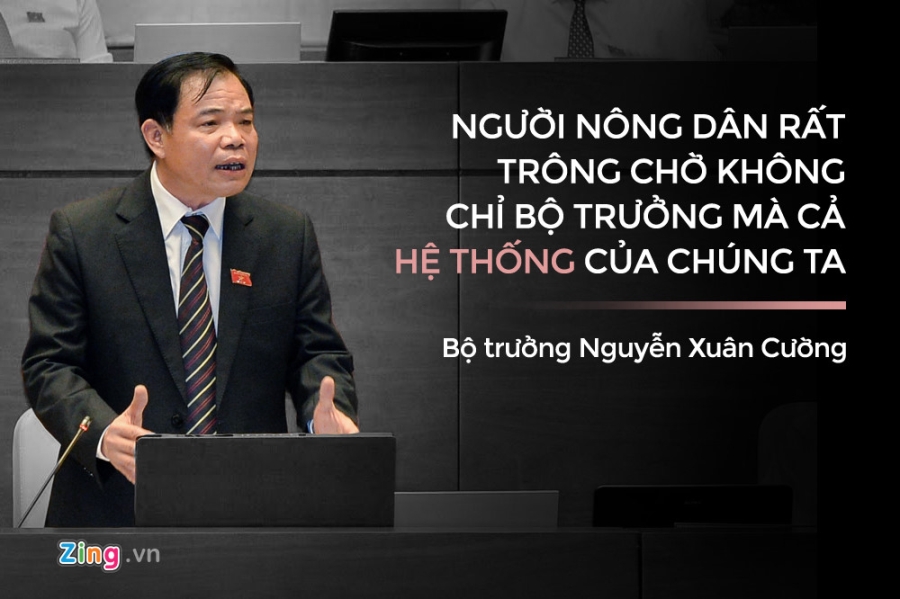 Phat ngon an tuong trong 3 ngay chat van cua Quoc hoi hinh anh 3