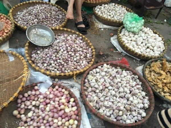 tỏi Trung Quốc, sâm Ngọc Linh, thịt bò, thịt lợn, dứa, sầu riêng, thực phẩm bẩn