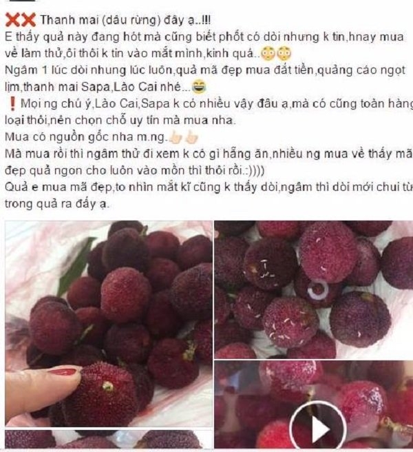tỏi Trung Quốc, sâm Ngọc Linh, thịt bò, thịt lợn, dứa, sầu riêng, thực phẩm bẩn