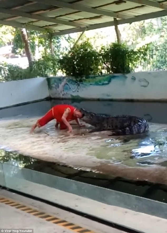 Nghe si xiec Thai Lan bi ca sau ngoam dau khi dang bieu dien hinh anh 1