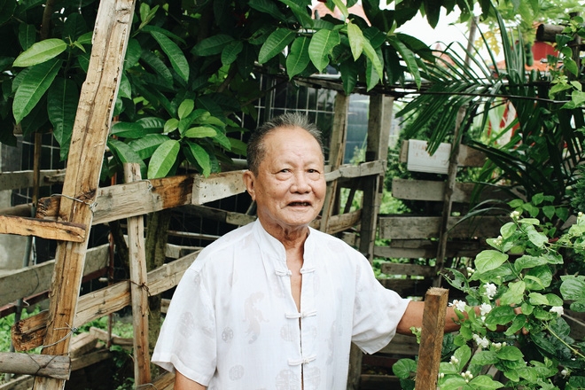 Chuyện tình yêu của cụ ông tự tay trồng và chăm sóc cả một vườn hoa ngát hương bên mộ phần người vợ đã khuất - Ảnh 1.