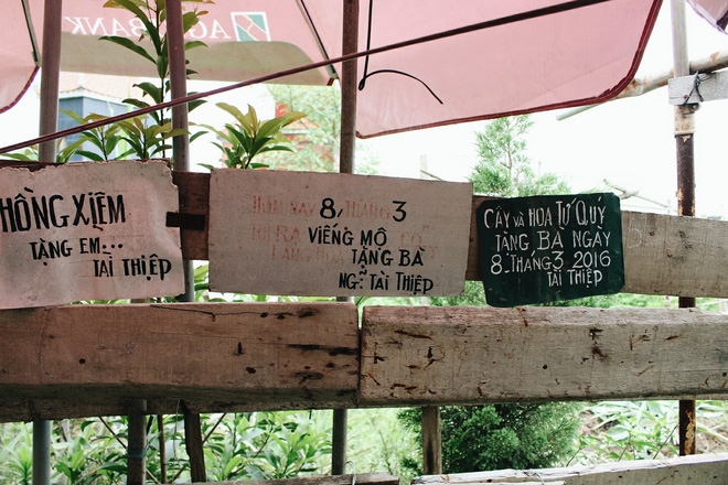 Chuyện tình yêu của cụ ông tự tay trồng và chăm sóc cả một vườn hoa ngát hương bên mộ phần người vợ đã khuất - Ảnh 7.