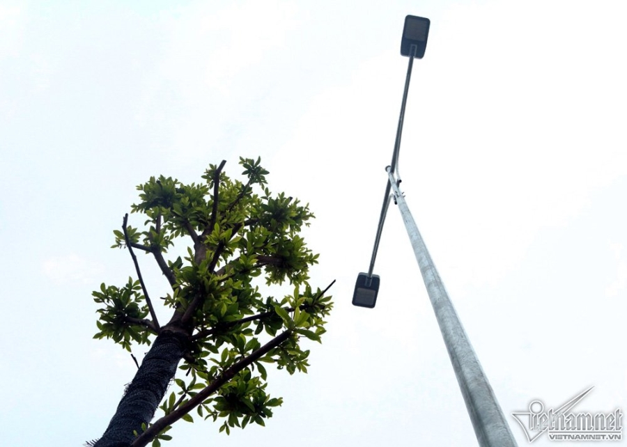 đường nghìn tỷ,thông xe,Nguyễn Xiển - Xa La đường nghìn tỷ,thông xe,Nguyễn Xiển - Xa La