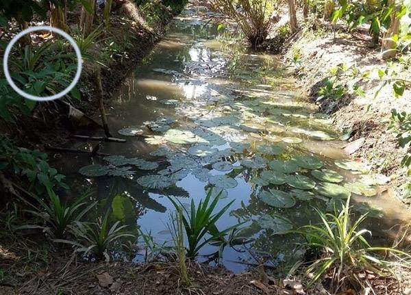 Trà Vinh, Lâm Đồng, giết người, ve chai
