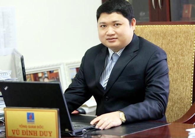 Du an xo soi polyester Dinh Vu co nhung sai pham nao? hinh anh 1