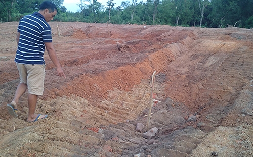 Xác minh thông tin lăng vợ vua Tự Đức bị san ủi làm bãi đỗ xe hình ảnh 1 xac minh thong tin lang vo vua tu duc bi san ui lam bai do xe hinh anh 1