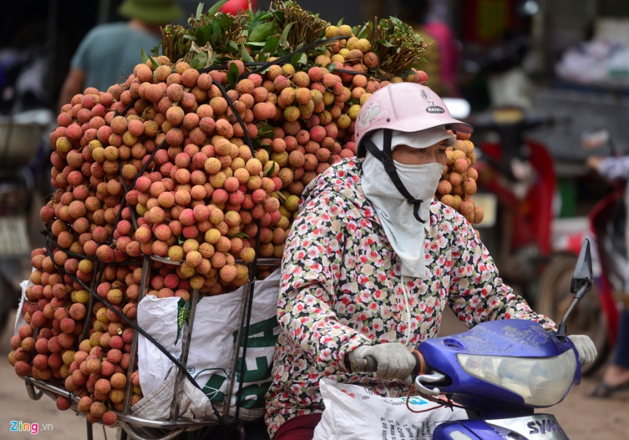 Chuyen la o vua vai thieu lon nhat mien Bac hinh anh 10