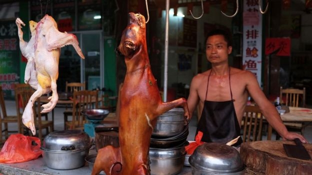le hoi thit cho o trung quoc dong nghit nguoi bat chap tranh cai hinh anh 3