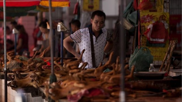 le hoi thit cho o trung quoc dong nghit nguoi bat chap tranh cai hinh anh 4