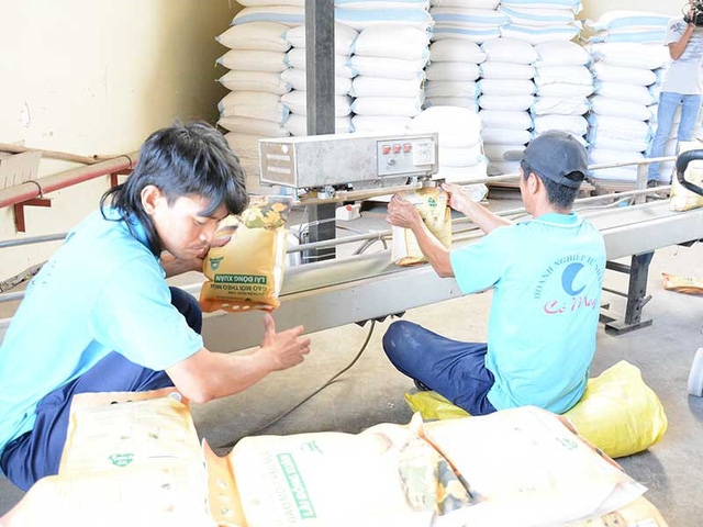 Các doanh nghiệp đề nghị Hiệp hội Lương thực cần công khai các thông tin liên quan đến  xuất khẩu gạo vào các thị trường tập trung. Ảnh: QH 