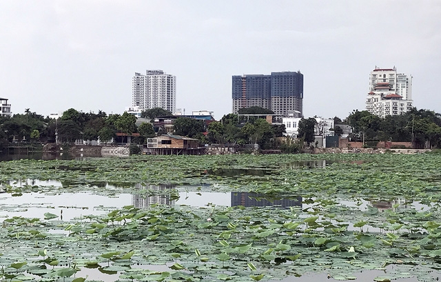 Khu vực được cho là có hàng chục biệt thự hoàng tráng được xây dựng trên đất nông nghiệp