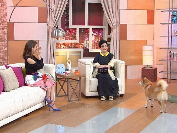 Lam Tam Nhu: 'Hoac Kien Hoa thap nen day nha cau hon toi' hinh anh 1