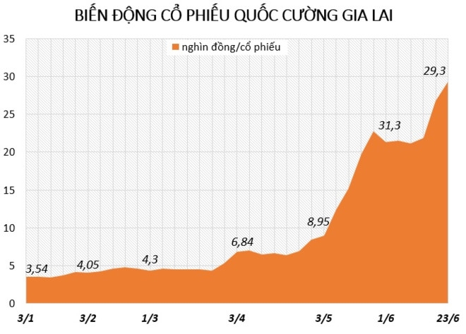 Dieu gi khien co phieu cong ty Cuong Dola bat tang 9 lan? hinh anh 1