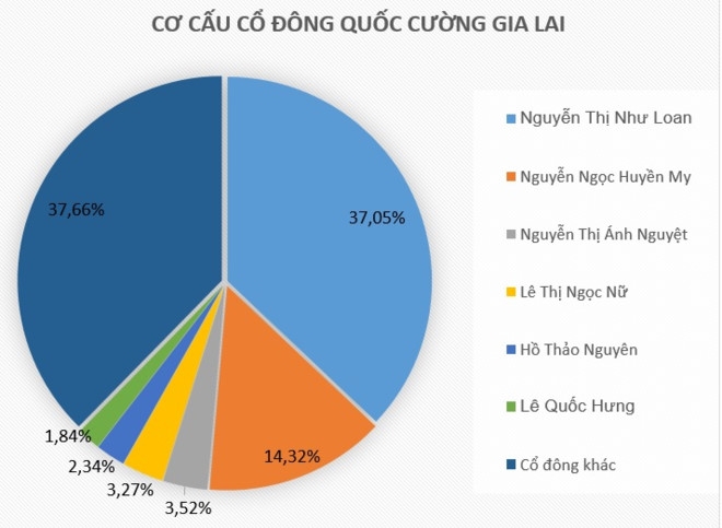 Dieu gi khien co phieu cong ty Cuong Dola bat tang 9 lan? hinh anh 2