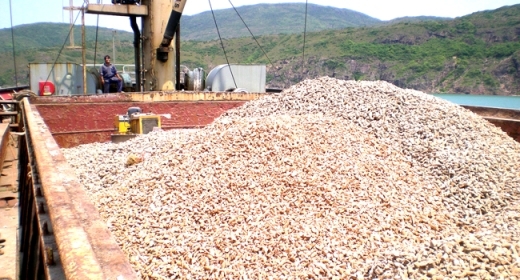 Kim ngạch xuất khẩu sắn và các sản phẩm từ sắn của Việt Nam hiện đứng thứ 2, sau Thái Lan.