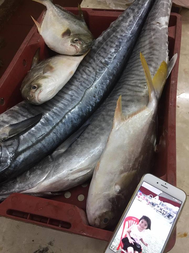 Không phải là cá vừa câu lên, nhưng cá đó vẫn xếp vào hàng cá tươi. Vì cá này để chưa lâu và chưa qua kho đông, mới chỉ câu lên khoảng 5 ngày thôi. Cá tươi sẽ giữ màu đen, vây và đuôi nhìn sẽ lành lặn.