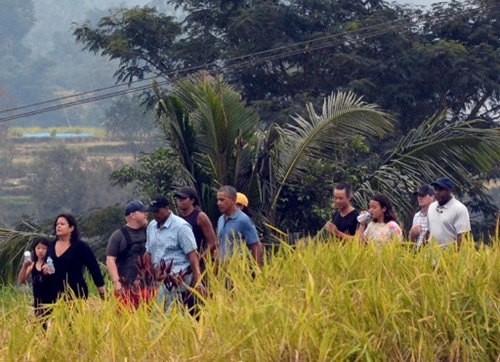 Obama đi bộ bên những cánh đồng lúa Indonesia. Ảnh: AFP