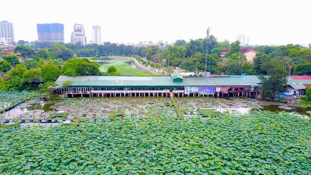 Khu vực hồ Đầm Trị có diện tích khoảng 11.500 m2, còn ao Đầm Trị có diện tích 67.000 m2. Tuy nhiên, theo ông Hồi, khu vực hồ Đầm Trị không chỉ có đất nông nghiệp mà có cả đất ở xem kẽ. Do vậy, phường này đang làm việc với Thanh tra Sở Tài nguyên và Môi trường làm rõ những vấn đề liên quan.