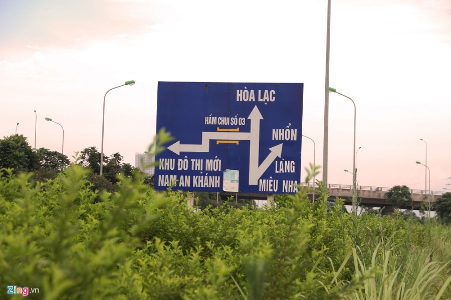 Dai lo Thang Long thanh rung sau mot nam dung chi tien cat co hinh anh 4