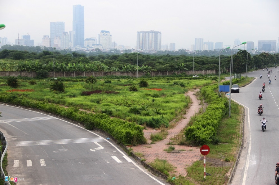 Dai lo Thang Long thanh rung sau mot nam dung chi tien cat co hinh anh 8