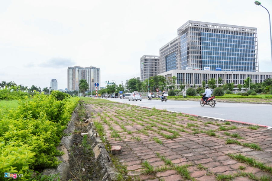 Dai lo Thang Long thanh rung sau mot nam dung chi tien cat co hinh anh 12