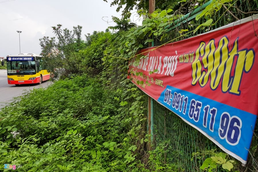 Dai lo Thang Long thanh rung sau mot nam dung chi tien cat co hinh anh 15