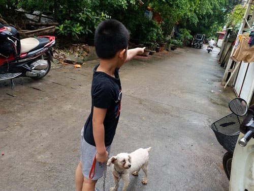 Nghi vấn bé trai 5 tuổi bị người phụ nữ trẻ bắt cóc giữa trưa ở Hà Nội - 1
