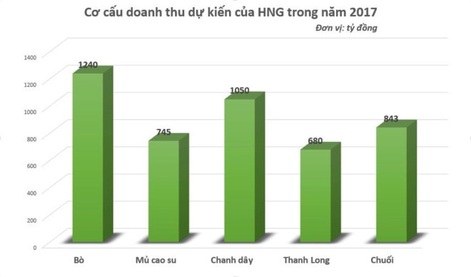 Bau Duc: 'Toi cam doan Doan Nguyen Duc khong co cong ty rieng nao ca' hinh anh 1
