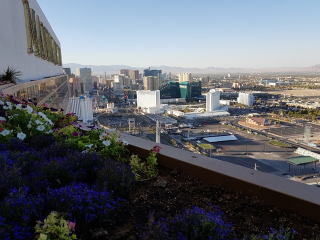  Một góc thành phố Las Vegas nhìn từ tầng 63 khách sạn Mandalay Bay. Ảnh: Anh Huy 