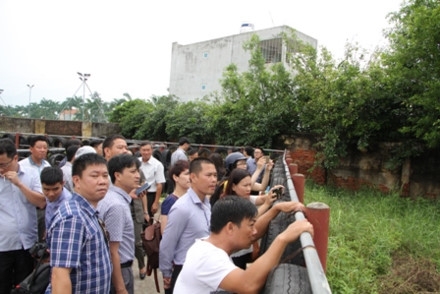 Những dấu hiệu bất thường của “ông trâu” húc chết chủ ở Đồ Sơn - Ảnh 1.