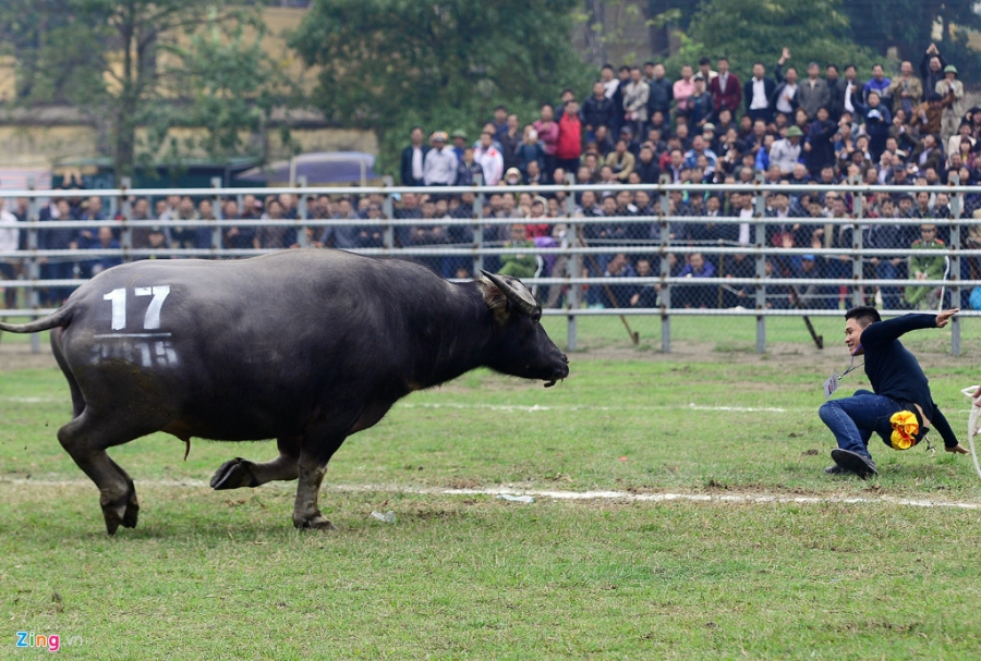 Nhung lan khan gia, cong an chay thuc mang ne trau choi hung du hinh anh 14