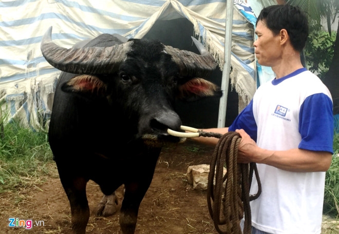 Cac chu trau choi 'soc' ve su co chet nguoi o Do Son hinh anh 2