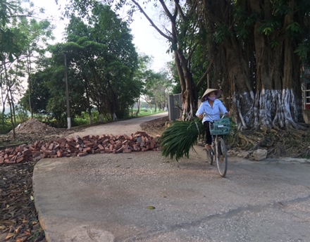 Hàng loạt cán cựu cán bộ xã Đồng Tâm hầu toà vì vô tư bán đất khiến cho người dân địa phương bức xúc.